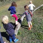Children`s Activities - Purple Pear Farm School